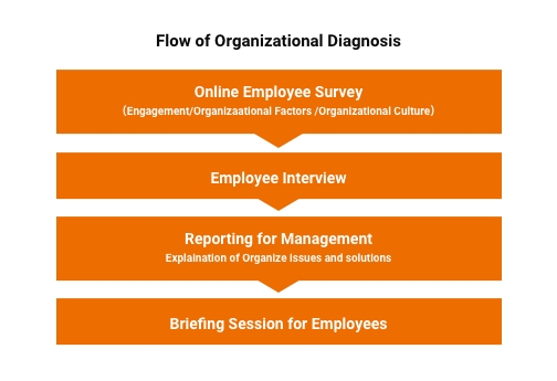 Organizational Diagnosis (Survey + Employee Interviews)